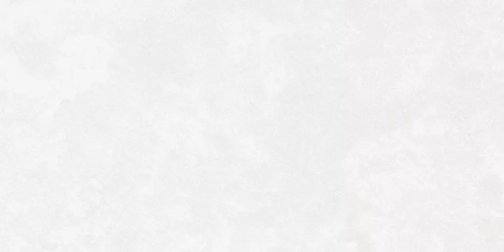 Керамогранит Central Park (Централ Парк) 600*1200 белый K-701/MR — купить в Кемерово