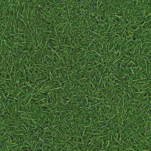 Линолеум бытовой "IVC" Neo Grass 25 (3м) — купить в Кемерово