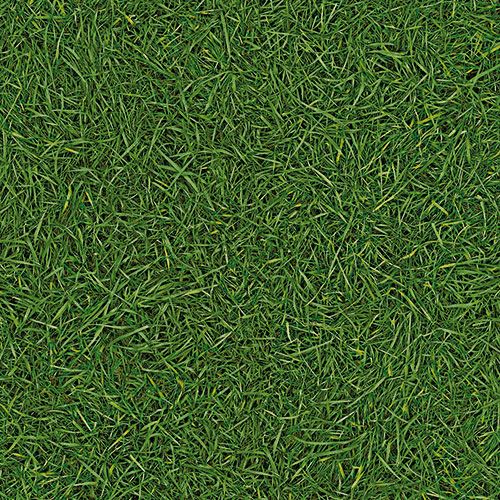 Линолеум бытовой "IVC" Bingo Grass 25 (3м) — купить в Кемерово