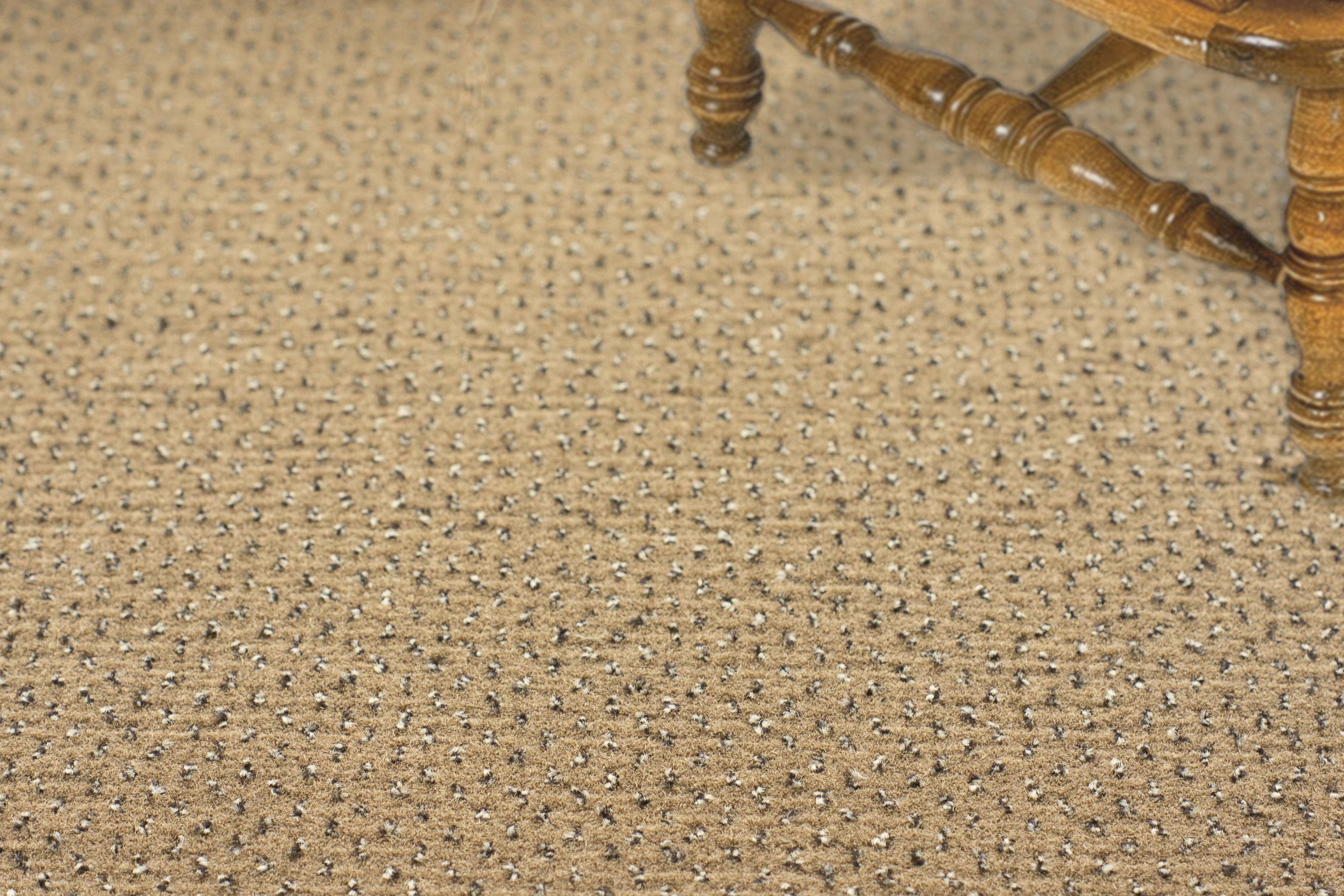 Ковролин "Зартекс" Eternity 142 бежевый (4м) — купить в Кемерово